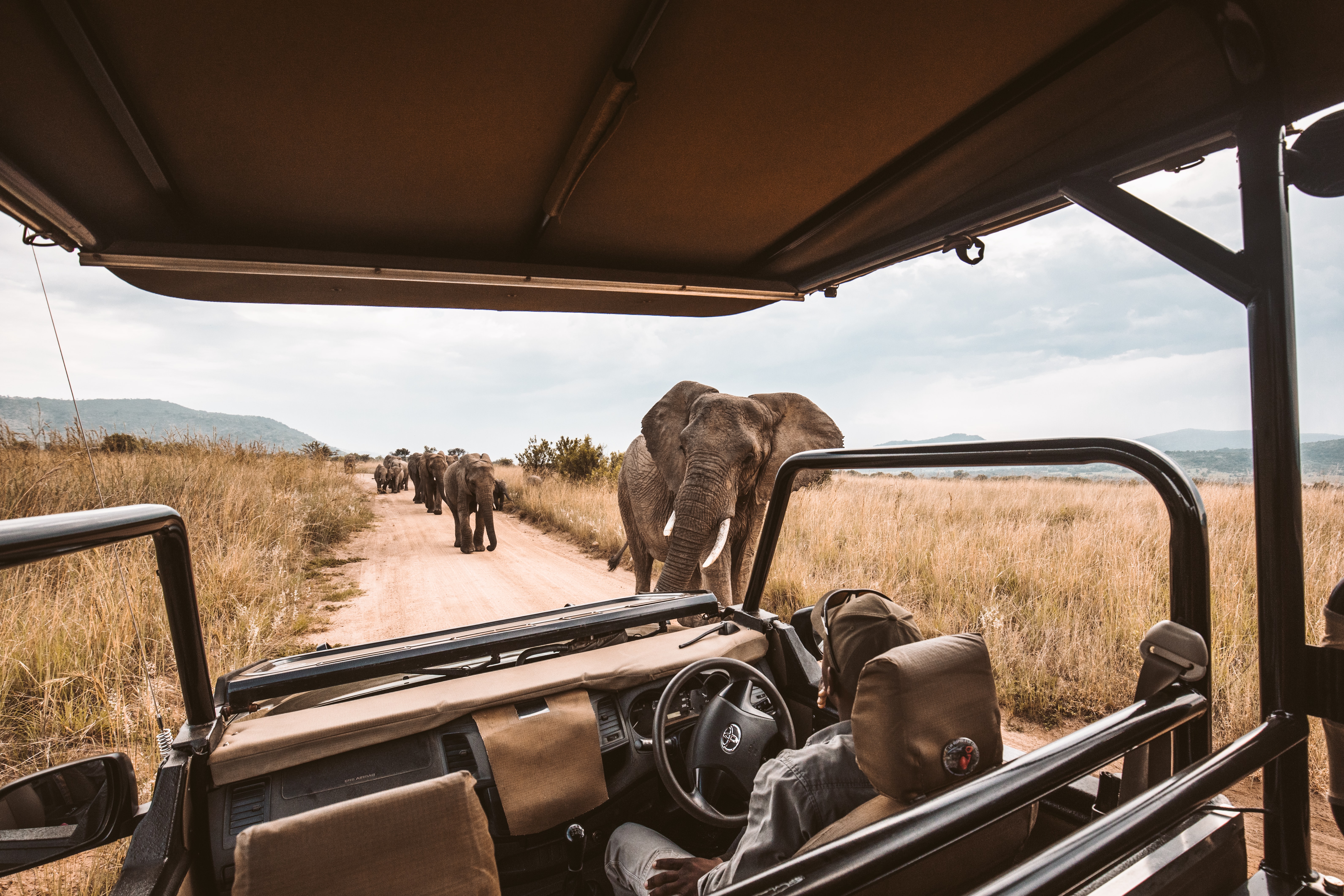 Experience the extraordinary